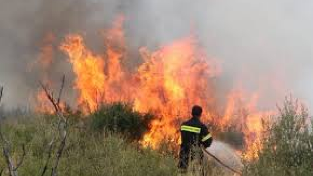 Ανακοίνωση πολιτικής προστασίας Δήμου Πύδνας Κολινδρού για κάψιμο καλαμιών 