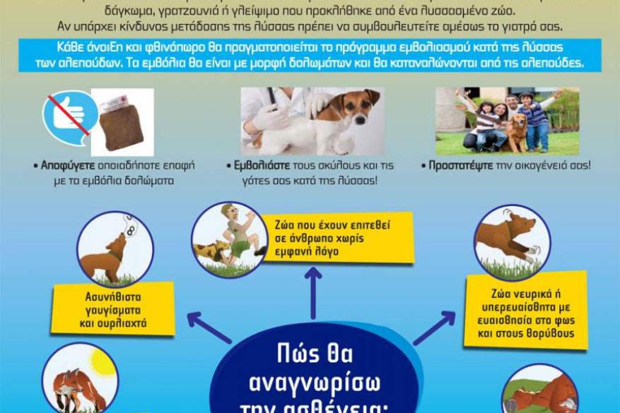 ΠΡΟΓΡΑΜΜΑ ΕΠΙΤΗΡΗΣΗΣ ΤΗΣ ΛΥΣΣΑΣ