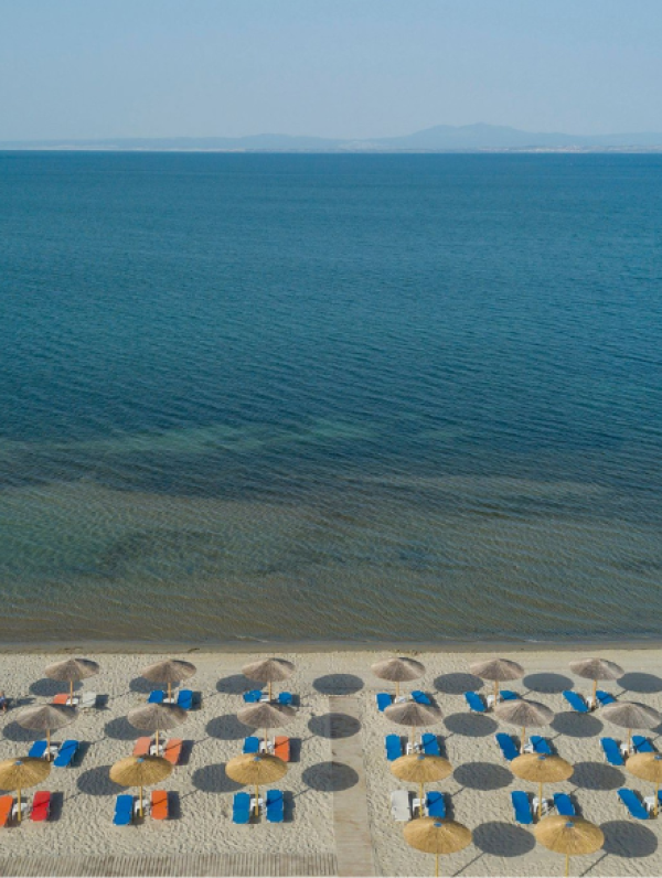 Εξερευνήστε τον Δήμο